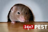 247 Rodent Pest Control Brisbane image 2